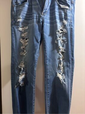 American Eagle Outfitters Light Blue Distressed Ankle Jeans